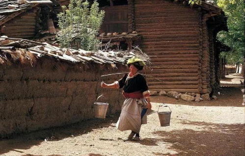 神秘的菇類村 廣西與貴州交界處的母系社會(huì)部落