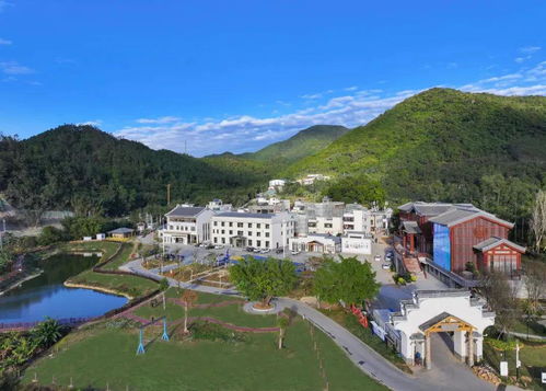 星外系村部落 最年輕法院的護(hù)企新招