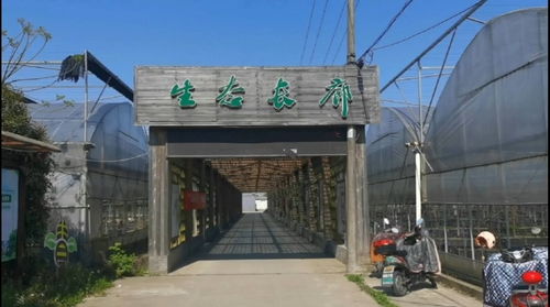 北侖新棉村生態(tài)長(zhǎng)廊 精品果蔬園與星外系部落的鄉(xiāng)村風(fēng)情