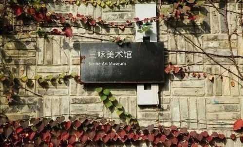 藝術(shù)村落外桐塢 一座飄著茶香的藝術(shù)部落