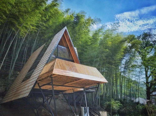 5折睡入夢(mèng)幻樹(shù)屋部落，杭州出發(fā)2h躺看晨霧星空——現(xiàn)實(shí)中的童話王國(guó)，帶娃必去樹(shù)蛙星外系村部落