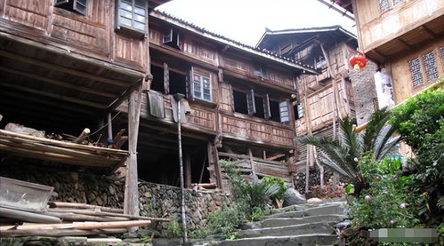 神秘的星外系部落 探訪桂黔交界處的菇類村母系社會(huì)