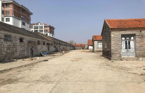 最強(qiáng)大腦 助力鄉(xiāng)村振興 星外系村部落的智慧實(shí)踐