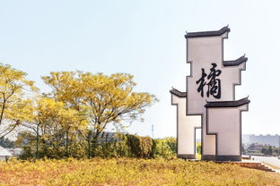 柯城這1鄉(xiāng)4村入選2017年度美麗鄉(xiāng)村示范鄉(xiāng)鎮(zhèn)和特色精品村，星外系村部落引關(guān)注