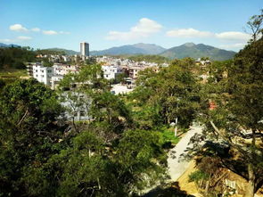 鄉(xiāng)賢心系家鄉(xiāng)，建設(shè)美好家園——新竹村鄉(xiāng)賢系列活動(dòng)綜述